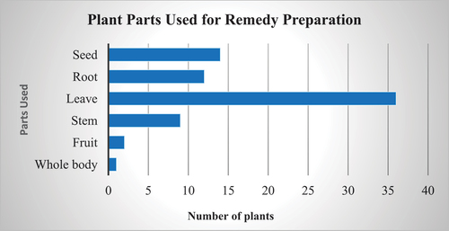 Figure 5. Plant parts used for preparation of the remedies.