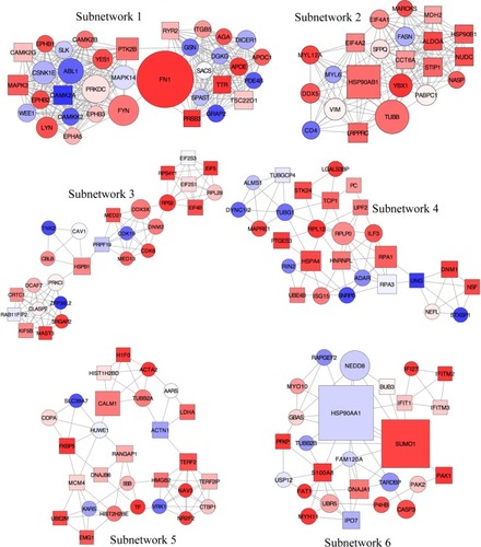 Figure 6 Subnetworks identified from the local PPI network using unweighted force-directed layout.