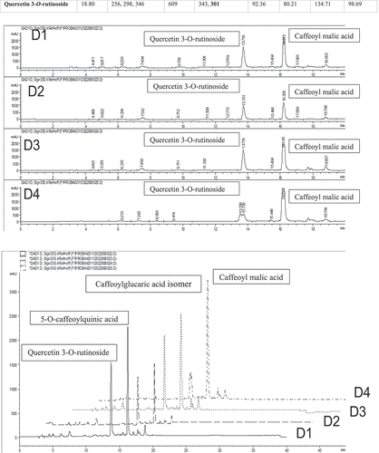 Figure 5. LC-DAD-ESI-MS/MS chromatogram of phenolic compounds extraction using UAE-DES.