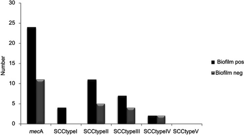 Figure 3 Distribution of SCC typing in S. epidermidis biofilm producer and nonbiofilm producer.Abbreviations: mecA, methicillin-resistant gene; SCC, staphylococcal cassette chromosome; Biofilm pos, biofilm positive; Biofilm neg, biofilm negative.