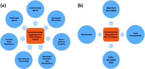 Figure 1. Potential nanotechnology applications in plant pathology: (a) plant disease control and (b) detection of plant pathogens.