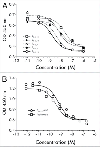 Figure 3. TF-1 cell assays (classical signaling). (A) Results from an analysis of the ability of affibody variants ZIL-6_4, ZIL-6_8, ZIL-6_12, ZIL-6_13 and ZIL-6_15, expressed as His6-Z fusion proteins, to inhibit the growth of IL-6 dependent TF-1 cells. (B) Results from an analysis of the ability of affibody variant ZIL-6_13, expressed as a Z-ABD fusion protein, or the mAb tocilizumab, to inhibit the growth of IL-6 dependent TF-1 cells. The assay was performed in the presence of HSA.