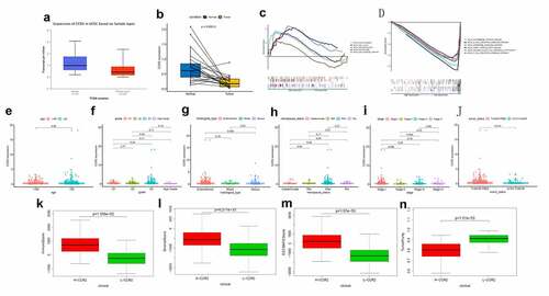 Figure 6. Analysis of CCR2. (a) CCR2 expression in tumor vs. normal sample. (b) CCR2 expression in the normal and tumor sample of the same patient. (c-d) GSEA analysis for samples with high- and low-expression of CCR2. (e-j) Association with CCR2 expression and clinical factors. The Kruskal-Wallis or Wilcoxon rank sum test used as the statistical analysis. (k-n) The distributions of immune score, stromal score, ESTIMATE score and tumor purity in H- and L-CCR2 group