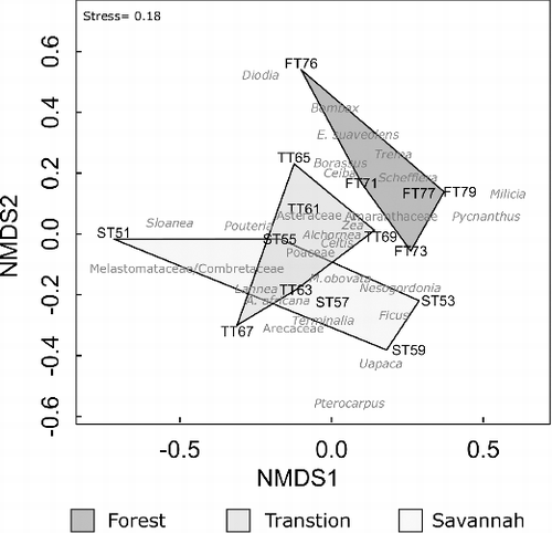 Figure 9. Non-metric multidimensional scaling (NMDS) plot of pollen trap assemblages. Forest traps begin ‘FT’, Transition traps ‘TT’ and Savannah Traps ‘ST’. Polygons encompass all traps of each plot. Named taxa are included in grey. Unidentified pollen taxa were used in the analysis but are not shown in the figure.