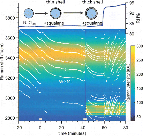 Figure 5. Raman spectra time series for a tweezed aqueous NaCl droplet coagulated with squalane aerosol. A NaCl(aq) droplet is shown at −20 min, and at 0 min squalane droplets were coagulated for the period indicated by the gray bar at the bottom. WGMs are still observed, indicating the squalane formed a thin shell coating. Following the second coagulation period of squalane at 42 min a strong C–H Raman band is observed between 2800 and 3000 cm−1, and WGMs are present in this hydrocarbon mode. This indicates the addition of significant amounts of squalane, which formed a homogeneous shell surrounding the aqueous core. A negative trend in the WGM location (bright white points/lines) indicates droplet shrinkage while a positive trend indicates growth. The chamber humidity is plotted on the top, and WGMs have a positive trend after the RH is increased. That indicates the aqueous NaCl core still can uptake water through the hydrophobic squalane shell.