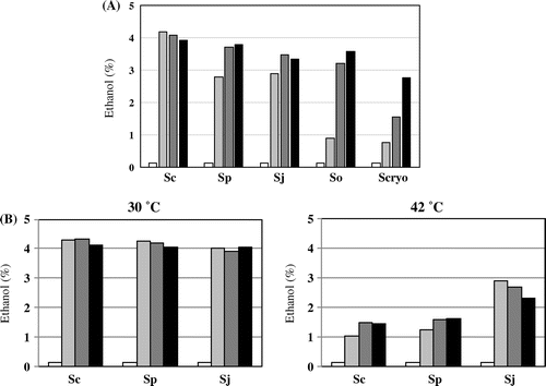 Figure 11. Ethanol production. (A) The amount of ethanol (v/v) produced in S. cerevisiae kyokai No. 9 (Sc), S. pombe L972 (Sp), S. japonicus NIG2028 (Sj), S. octosporus yFS286 (So), and S. cryophilus OY26 (Scryo) was measured by HPLC at 0 (white bar), 24 (light gray bar), 48 (dark gray bar), and 72 (black bar) hours. Cells were grown at 25 °C in YPD (10% glucose). (B) The amount of ethanol produced in S. cerevisiae kyokai No. 9 (Sc), S. pombe L972 (Sp), and S. japonicus NIG2028 (Sj) was measured by HPLC at 0 (white bar), 24 (light gray bar), 48 (dark gray bar), and 72 (black bar) hours. Cells were grown either at 30 or 42 °C in YPD (10% glucose).