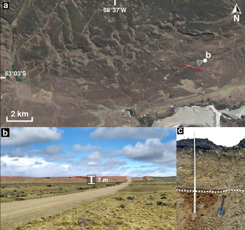 Figure 6. Elongated subglacial and ice-marginal erosive hills. Google EarthTM satellite image (a). Field view of the hills (b). Reddish Neogene sedimentary rocks covered by pale brown till following an erosive contact (c).