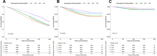 Figure 3 Kaplan–Meier survival curves of all-cause (A), cardiovascular (B), and cerebrovascular (C) mortality based on subscapular skinfold quartiles.