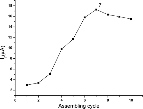Figure 7. Influence of assembling cycle on the electrochemical response of 1.0 × 10−5 mol l−1 estradiol at MWNT–GNP/PGE in 0.1 mol l−1 phosphate buffer (pH 2.0).