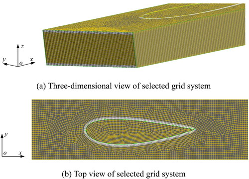 Figure 4. Selected grid system.