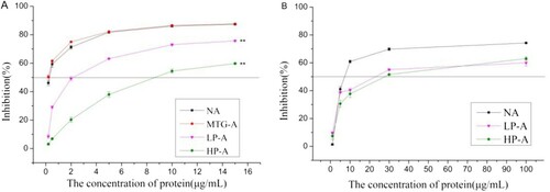 Figure 6. IgG (A) and IgE (B) binding capacity of treated Ara h 2. NA means native Ara h 2; MTG-A means MTG-Ara h 2; LP-A means low molecular weight polymer of Ara h 2; HP-A means high molecular weight polymer of Ara h 2. ** very significant differences (P < .01).