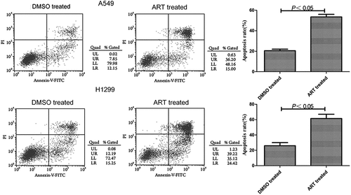 Figure 3. Promotive effects of ART on apoptosis of A549 and H1299 cells evaluated by flow cytometry. The experiments were performed in triplicate.