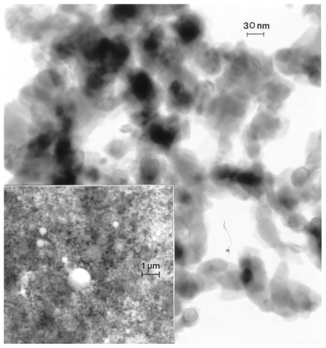 Figure 14 Transmission electron microscopy image for nano-Co powder with fieldemission scanning electron microscope insert showing nanoparticulate aggregation.