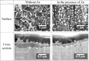 Figure 5. SEM images of surface and cross section of test pieces after 500-h immersion.