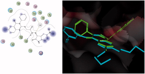 Figure 4. Docking of compound 31 (left panel) and superposition with erlotinib (right panel) in the receptor pocket of EGFR kinase. Compound 31 and erlotinib are shown in green and cyan, respectively.