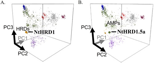 Figure 3. Predicted mature polypeptides of the silicon-induced NtHRD1 gene family members cluster with the histidine-rich family of defensins. Location of the predicted NtHRD1 polypeptides in Defensin sequence space cloud plots. Points represent defensins, different colors indicate the different groups of these polypeptides. A. The amino acid sequences of almost all Nicotiana tabacum NtHRD1 polypeptides cluster with other Solanaceous plant histidine-rich defensins (HRDs, yellow spot). The NtHRD1 sequence shown in A is for NtHRD1.1a. B. NtHRD1.5a is the only NtHRD1 that clusters with general plant antimicrobial defensins (AMPs, green).