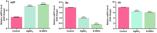 Figure 9 mRNA expression levels of mfD, flu, and hly genes in E. coli treated with and without N-SNPs and AgNO3. Data are from at least three independent experiments and are represented as the mean ± SEM. P values were estimated versus untreated bacteria; ****P < 0.0001.