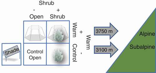 Figure 1. Schematic of the experimental design, with four replicate plots of each of the five treatments placed at two elevations: 3,100 m in subalpine vegetation and 3,750 m in alpine vegetation