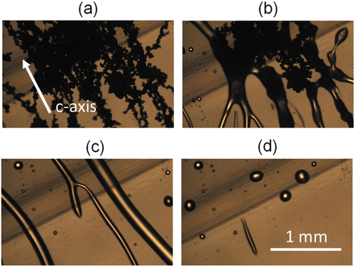 Figure 1. (Colour online) Surface transport of LC material (DIO) on X-cut LN:Fe crystal induced by heating from 23°C to 110°C by the rate of 5°C/min. The corresponding pyroelectric field ‘pulls’ the LC from the top to the side walls (Z-planes) of the crystal. (Dark strip-shaped region on the substrate corresponds to the area that was pre-illuminated with the green laser beam).