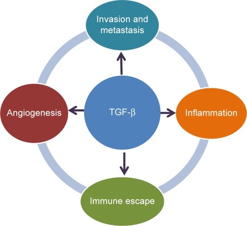 Figure 1 TGF-β signaling and hallmarks of cancer.