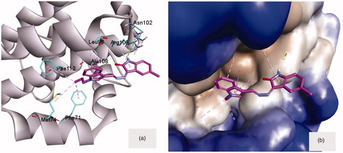Figure 5. (a) Compound 8a docked into the groove of Bcl-2 (4AQ3) showing the different interaction from both sides to fill this groove. (b) Compound 8a embedded inside the active site of Bcl-2. The macromolecule was surrounded by hydrophobic surface to focus on the hydrophobic contacts.