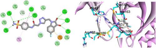 Figure 5. 2D and 3D interaction diagram of compound 6b with SARS CoV-2 Mpro binding site.