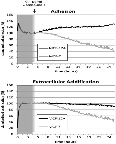 Figure 2. Online monitoring of adhesion and acidification rates of the MCF-7 breast cancer cell line in comparison with the non-tumorigenic epithelial cell line MCF-12 A under treatment with compound 1 (final concentration 0.1 μg/mL) using the Bionas® 2500 analyzing system. Gray shadowed area marks the adaption phase (4 h) of the cells to the new conditions in pure running medium. Treatment with compound 1 was carried out for 20 h at a flow rate of 56 μL/min with 4/4 min pump/stop phases. The percentage of the standardized and normalized rates of cell adhesion and extracellular acidification in a period of 24 h are displayed. The averages of three individual experiments are shown.