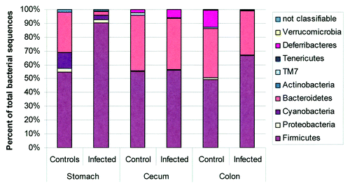 Figure 5. Microbiota composition in stomach, cecum, and colon of H pylori-infected male INS-GAS mice (n = 3, 15 weeks postinfection) vs. uninfected controls (n = 2). Note the significant increase in the relative abundance of Firmicutes and decrease of Bacteroidetes in the stomachs of H pylori–infected INS-GAS mice (p < 0.05), whereas no significant changes were observed in the colon and ceca of H. pylori-infected mice. Reproduced with permission from Lofgren et al. 2011.Citation77