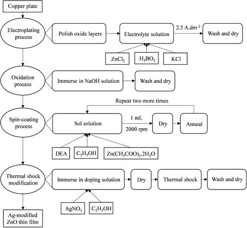 Figure 1. Schematic of synthesis and Ag-modification of ZnO thin film deposited on Zn-electroplated Cu substrates.