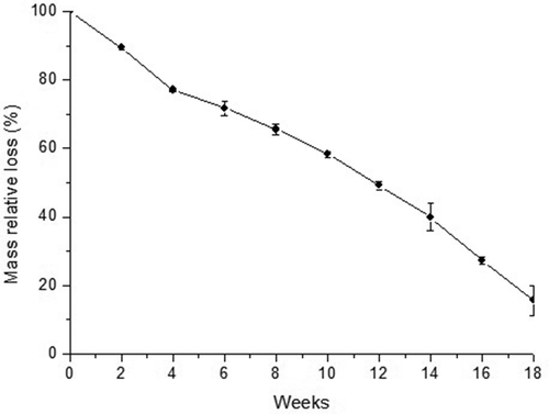 Figure 6. Weight loss values of the thermoplastic pejibaye starch throughout the biodegradability test.