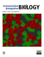 Cover image for Communicative & Integrative Biology, Volume 3, Issue 4, 2010