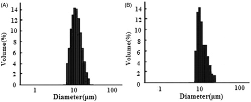 Figure 3. Size and size distribution of etoposide-loaded PLGA microspheres: (A) before freeze-drying and (B) after freeze-drying.