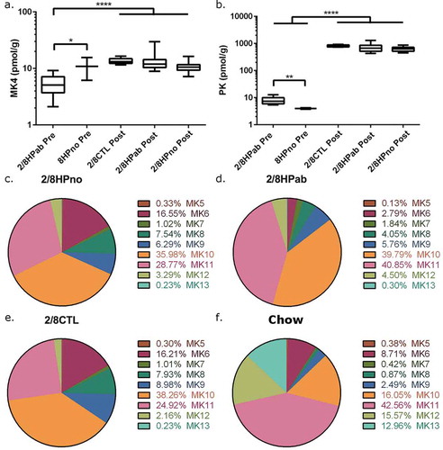 Figure 4. Effects of antibiotic treatment in vitamin K levels in the liver and feces. (a) Liver MK4 and (b) liver PK levels were measured PRE-PK and POST-PK supplementation. For PRE-PK mice, 2/8HPab (n = 10) and 8HPno (n = 2). For POST-PK mice, 2/8CTL (n = 8), 2/8HPab (n = 17) and 2/8Hpno (n = 21). *P ≤ .05, **P ≤ .01, ***P ≤ .001, ****P ≤ .0001. (c-f) The relative abundance of fecal MKn prior to PK supplementation in (c) antibiotic-free, H. pylori-infected (2/8HPno), (d) antibiotic-treated, H. pylori-infected (2/8HPab), (e) uninfected mice on the AAD diet (2/8CTL), and (f) uninfected mice on standard rodent chow (Chow).