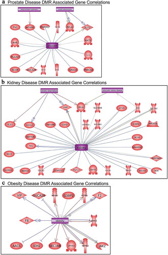 Figure 7. DMR-associated genes within the pathology biomarker DMR set for each individual pathology. The physiologic and pathology process is listed with direct gene links. (a) Prostate disease, (b) kidney disease, and (c) obesity