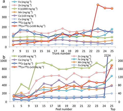 Figure 9 Comparison of the distribution patterns between radioactive cesium (134Cs + 137Cs) and other metals (iron (Fe), zinc (Zn), potassium (K), manganese (Mn), calcium (Ca), cupper (Cu)) in the (a) trunks and (b) peels of a bamboo sprout sampled in 2012. In (b), Zn, Fe, Mn and Cu concentrations are shown on the y-axis on the right side.