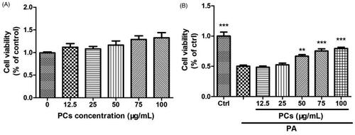 Figure 4. Cytotoxicity and cell proliferation in MIN6 cells exposed to PCs from R. amabilis. (A) To detect the cytotoxicity of PCs, MIN6 cells were incubated with 12.5–100 μg/mL PCs for 48 h. (B) For the proliferation assay, MIN6 cells were treated with 0.5 mM PA in the presence or absence of PCs at different concentrations for 24 h. An MTT assay was used to evaluate cell viability. The cell cytotoxicity and proliferation are expressed as the percentage of the control cells. Data are presented as the means ± SEM (n = 5) *p < 0.05, **p < 0.01, ***p < 0.001 vs. control group (in Figure A); vs. PA group (in Figure B).