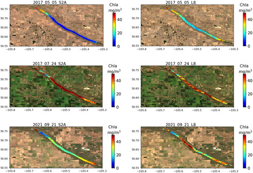 Figure E1. Chla maps for BPL derived from SVR algorithm applied on MSI (left) and OLI (right) images acquired on the same dates from 2017 to 2020. The color bars show the estimated Chla concentration in mg m−3.