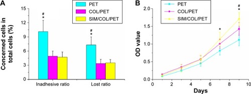 Figure 5 Measurement of BMSC proliferation and adhesion among the PET group, COL/PET group, and SIM/COL/PET group.Notes: (A) Cell adhesion ability on different samples and (B) BMSC viability in the scaffolds was detected with cell counting kit-8 (CCK-8). *P<0.05 compared with control; #P<0.05 between treatment groups.Abbreviations: PET, polyethylene terephthalate; COL/PET, collagen coating on polyethylene terephthalate scaffolds; SIM/COL/PET, collagen and simvastatin microspheres coating on polyethylene terephthalate scaffolds; BMSC, bone marrow stromal cell; OD, optical density.