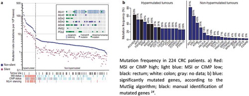 Figure 1. Frequency and type of mutations in human CRC tissues.