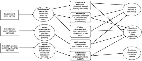 Figure 2. Overarching realist programme theory.