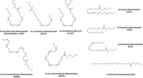 Figure 3 Chemical Structures of 9 endocannabinoids found in human skin.