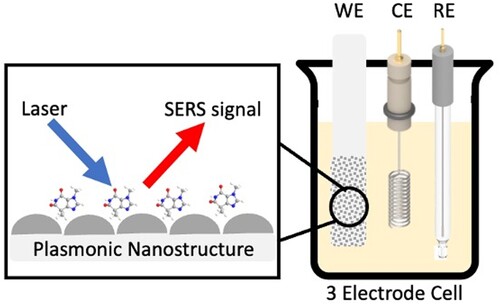 Figure 3. Schematic diagram of the E-SERS system. SERS spectra are recorded using a three-electrode EC cell containing a WE, RE and CE.