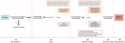 Figure 1. Synopsis of the study design. After a screening visit all eligible volunteers will attend V2 in which they will have pre-dose blood tests and vascular studies, and then will be randomized to either single sc dose of alirocumab 150 mg or placebo. They will then attend V3 14 ± 3 days later to have pre-dose blood tests and vascular studies and be administered another sc dose of alirocumab 150 mg or placebo. After this all participants in both groups (alirocumab and placebo group) will be prescribed atorvastatin 20 mg once nightly for 14 days. They will then attend V4 for post-dose blood tests and vascular studies. A follow up visit (V5) will take place 7–14 days later. Abbreviations. SC, subcutaneously; V1, Visit 1; V2, Visit 2; V3, Visit 3; V4, Visit 4; V5, Visit 5.