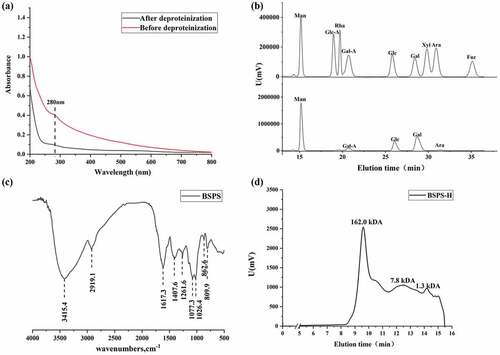 Figure 2. Chemical composition and basic structure analysis of BSPS-H. (A) The UV spectrum analysis of BSPS-H, (B) Monosaccharide compositions of mixed standards and BSPS-H, (C) Infrared spectra of BSPS-H, (D) Molecular weight of BSPS-H.