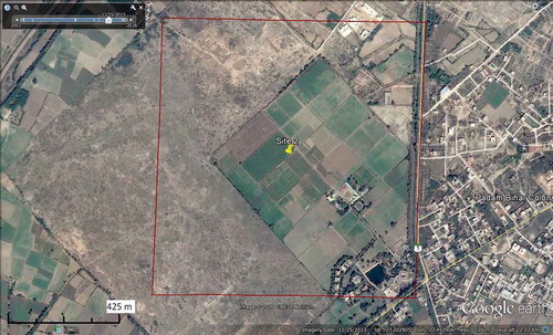 Figure 7. Google EarthTM image showing the 1000-m MODIS pixel at Site 2 and the relative area of cropped and non-cropped land.