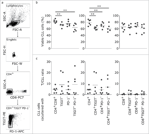 Figure 4. CD4+ TIGIT+ cells provide a supportive microenvironment for CLL cells. (a) Representative dot plots showing gating strategy for flow cytometric cell sorting. (b) PBMCs have been depleted of TIGIT+, PD-1+ or TIGIT+PD-1+ CD4+ or CD8+ cells followed by incubation with CD3/CD28 activating beads. After 5 days in culture, CLL viability was measured and corresponding T/ CLL ratios were analysed (n = 6) (c).