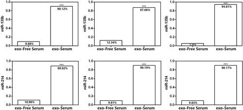 Figure 5 The relative abundance of miR-135b and miR-214 in serum exosomes from three samples. Most of miR-135b and miR-214 expression was derived from serum exosomes. ***P < 0.001.