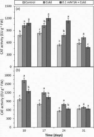 Figure 4. The effects of cold and SA + cold treatments on the CAT activity in the leaves of two barley cultivars differing at cold tolerance. (a) Cold-tolerant cultivar; Tokak and (b) cold-sensitive cultivar; Akhisar. Each datum is the average of six independent samples (n = 6). Values in a group followed by the same letter are not statistically different at P < .05 level as determined by Duncan's Multiple Range Test. Each value in the graph shows the average of three experiments. Vertical bars represent ± SE.