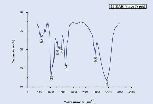 FIGURE 3a FT-IR spectra of culinary banana peel at 20 DAE (stage I).