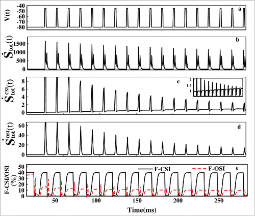 Figure 9. Non-equilibrium dissipation. In (A) the pulse train is shown for the first 300 ms. In (B) S˙ tot(t) is plotted. In (C) StotCSI˙(t) and in (D ) StotOSI˙(t) has been plotted. The F-CSI (%) and F-OSI (%) is plotted in (E).